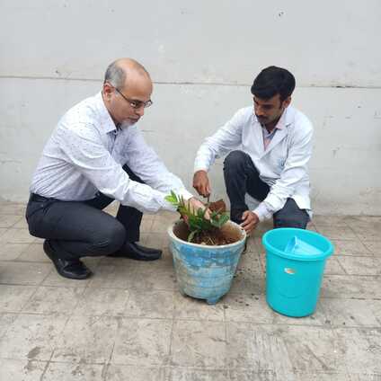 World Enviornment Day Celebrations 